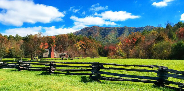 America's First Fences